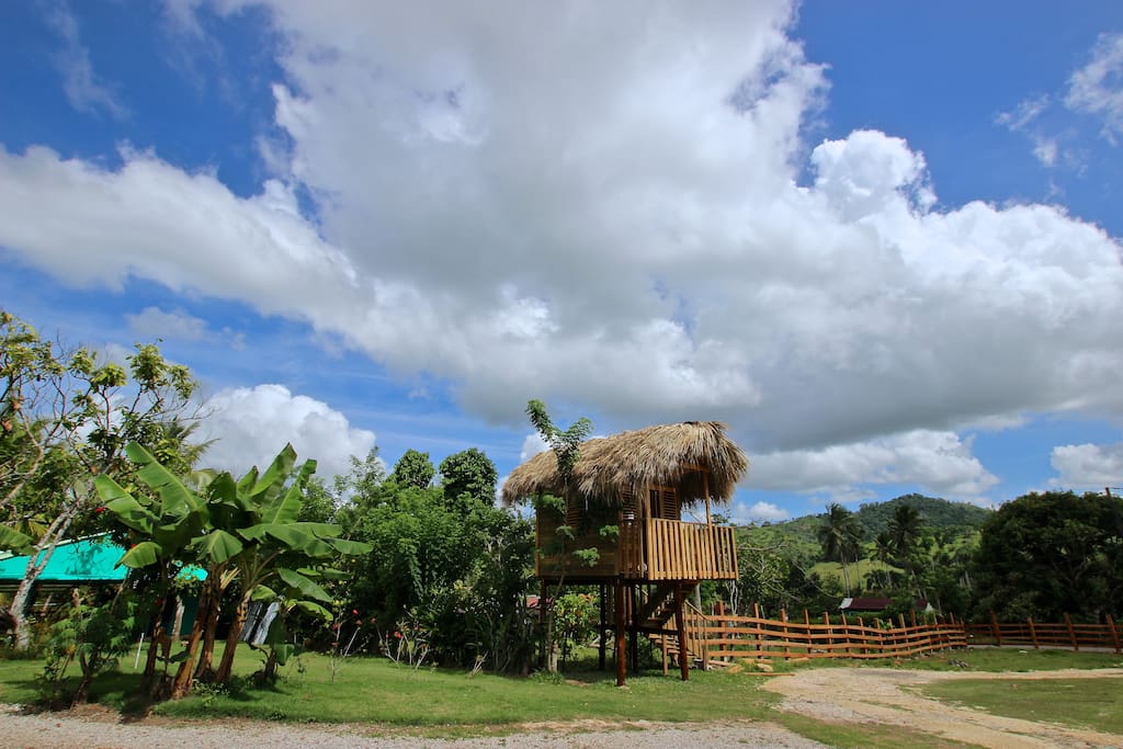 Tree house with Anayuma Mountains view