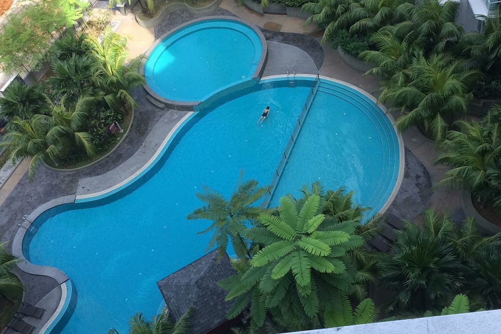 the swimming pool from above