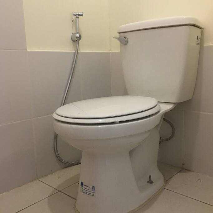 Clean toilet and spray gun for convenience