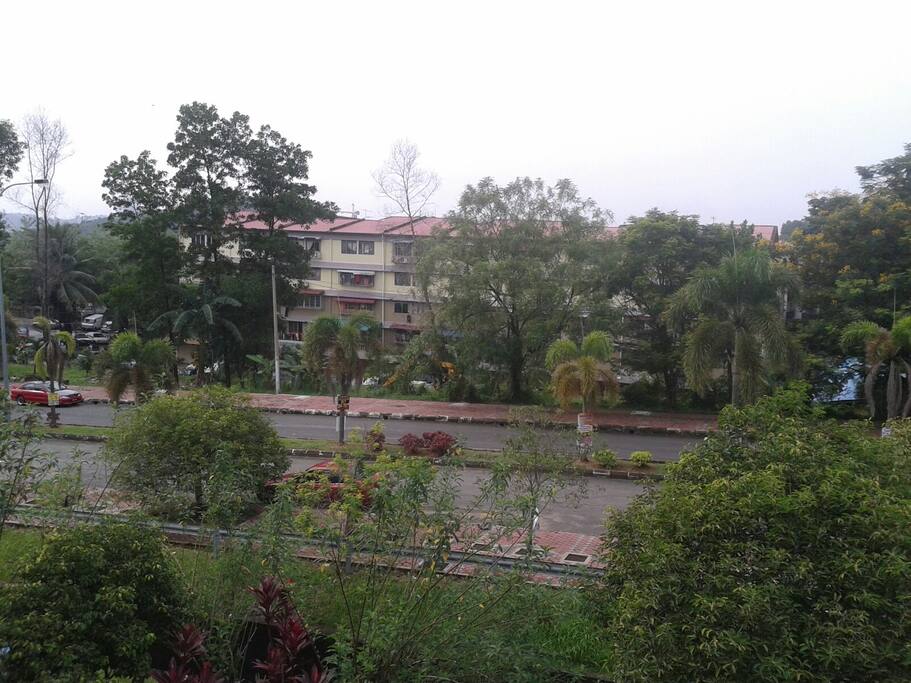 Surounding area. From window.