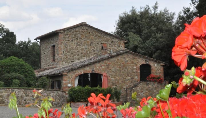 Sasso Canaldo: Limonaia - Monte San Savino