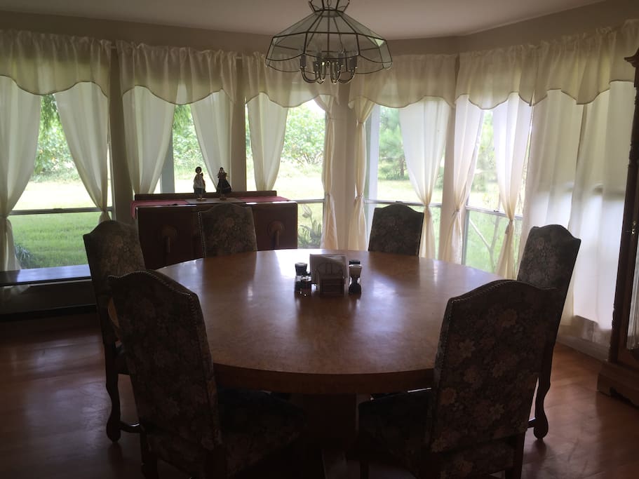 A dining table with a nature view.