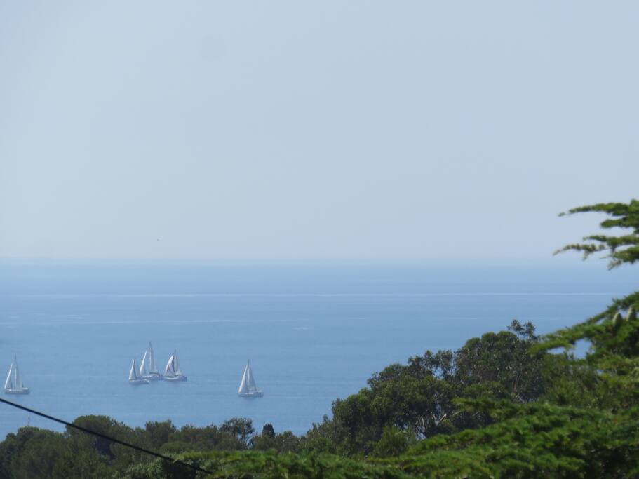 vue depuis la terrasse