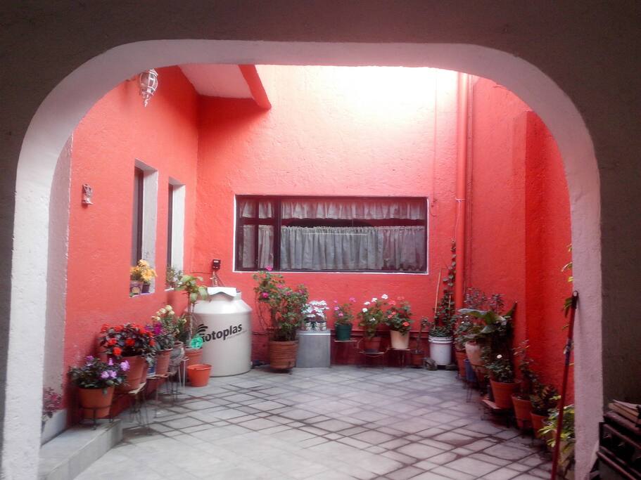 The yard. / El patio.