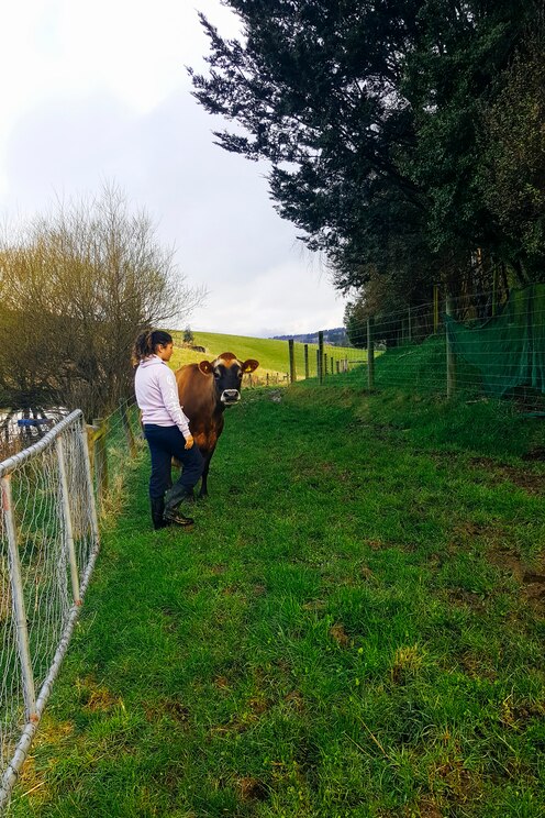 Vom Gastgeber bereitgestelltes Bild im Vollbildmodus anzeigen