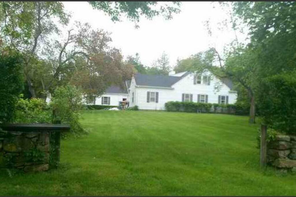 View of backyard
