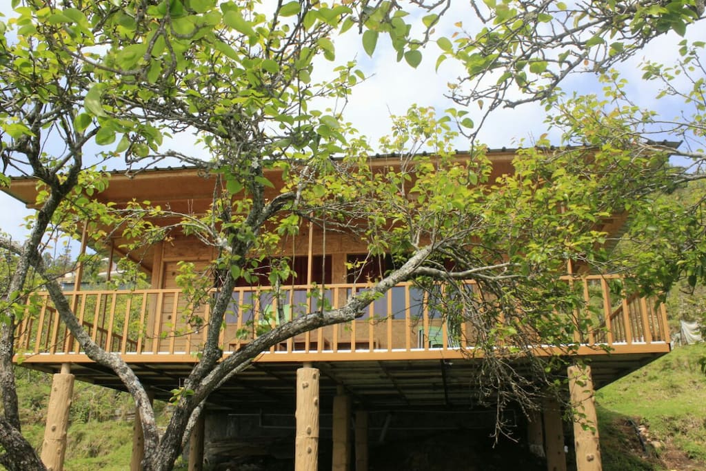front view