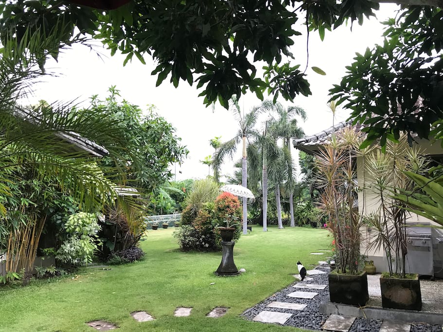Our spacious tropical garden