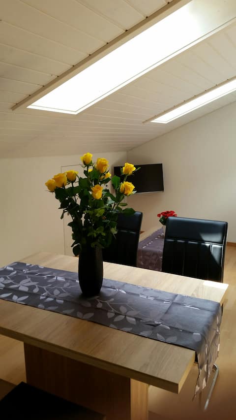 Top performing Airbnb: Feel well apartment in Interlaken in Interlaken