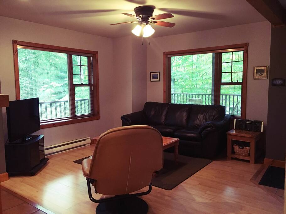 Spacious living room with sofabed. Surrounded by trees outside both windows.