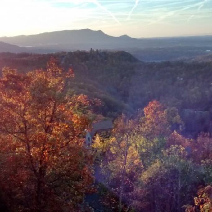 Fall leaves