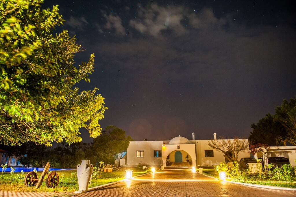 Garden with swimming pool