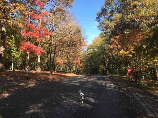 Athens Ga Cabin Rentals Airbnb