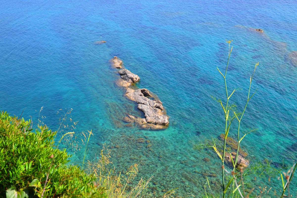 Clear blue waters reflect sunlight, revealing rocky formations just below the surface. The scene is enhanced by lush greenery along the coastline, contrasting with the vibrant shades of the sea. Gentle waves lap against the rocks, creating a serene ambiance.