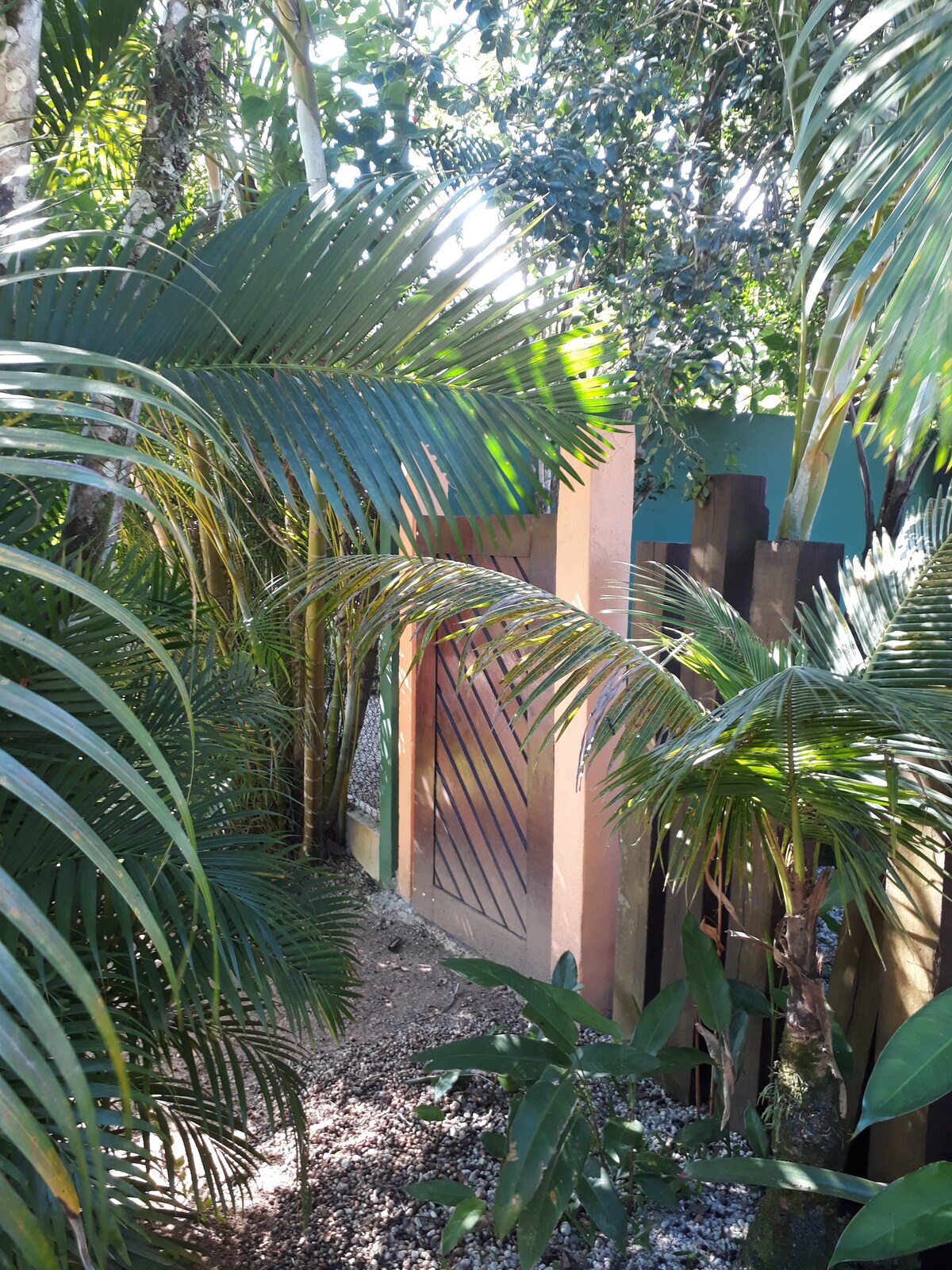 A natural pathway is bordered by lush green plants and palm leaves, leading toward a wooden gate. Sunlight filters through the foliage, creating dappled shadows on the ground. The setting evokes a sense of tranquility, surrounded by the vibrant colors of nature.