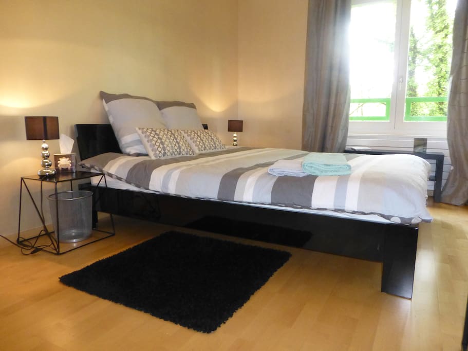 Chambre lumineuse et spacieuse