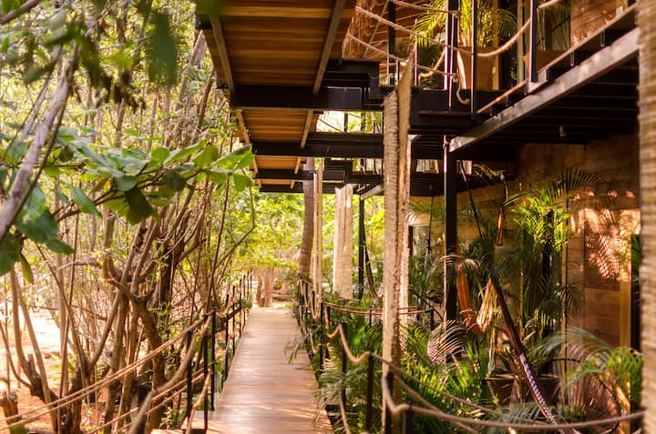 Hotel Noga - Luxury treehouse