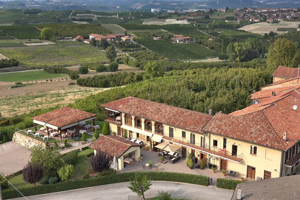 Il vigneto dal drone....