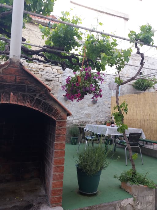 Our terrace will be even greener while you arrive