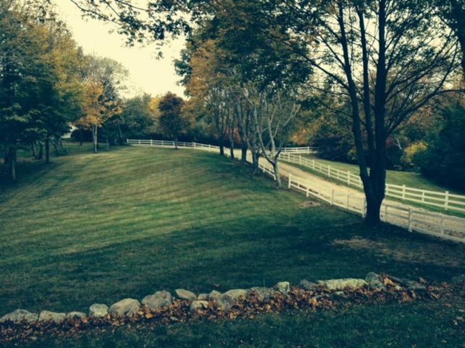 Front Yard