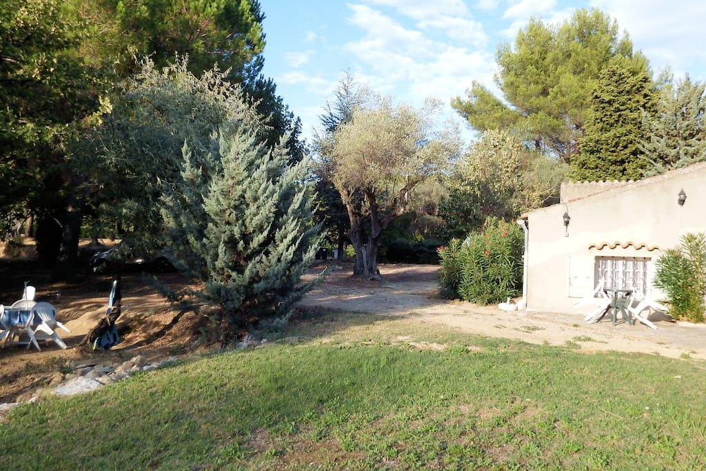 Vue Appartement du jardin