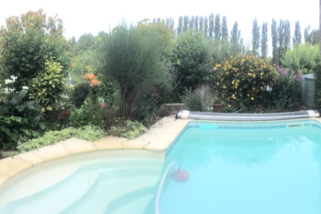 Terrace to pool view