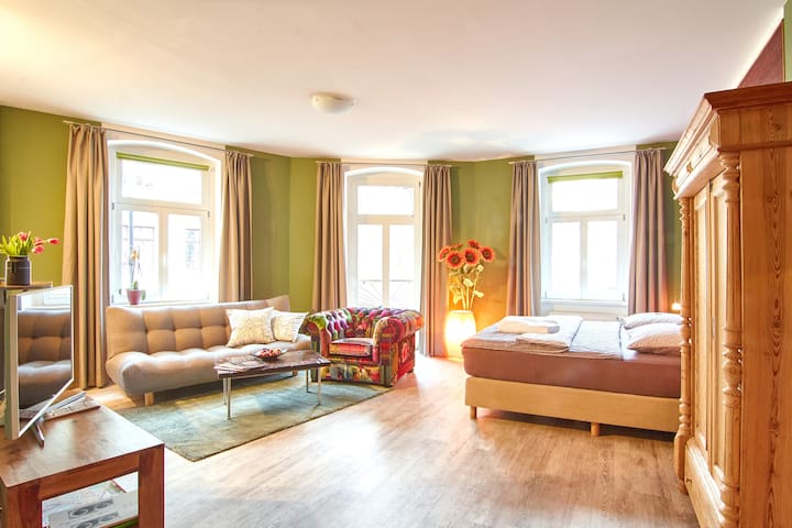 Airbnb Dresden Vacation Rentals Places To Stay Saxony