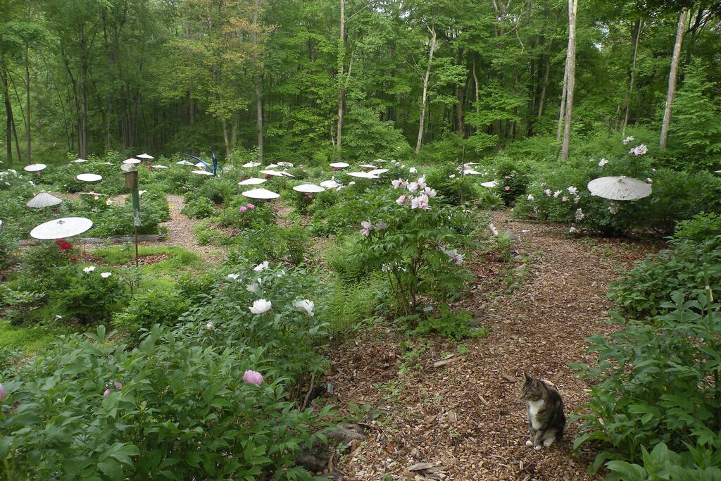 Our "backyard."