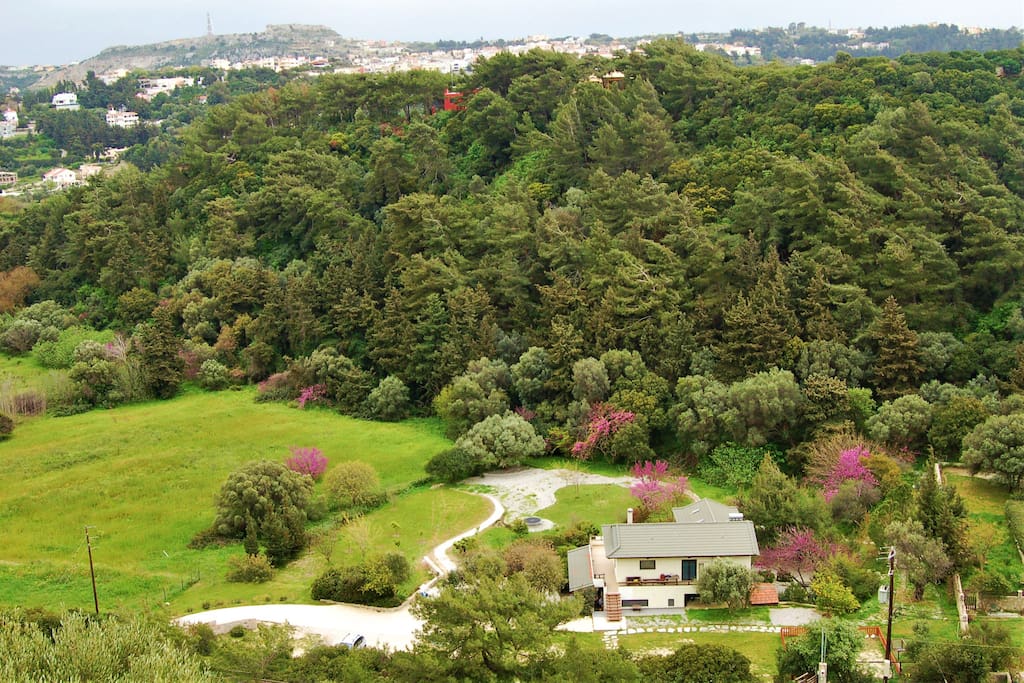Birds eye view