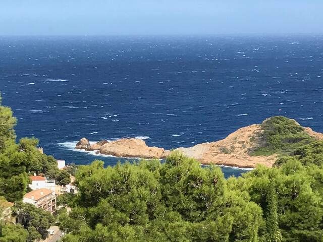 Luxury apartment Sa Tuna, pool and superb sea view gallery image 4