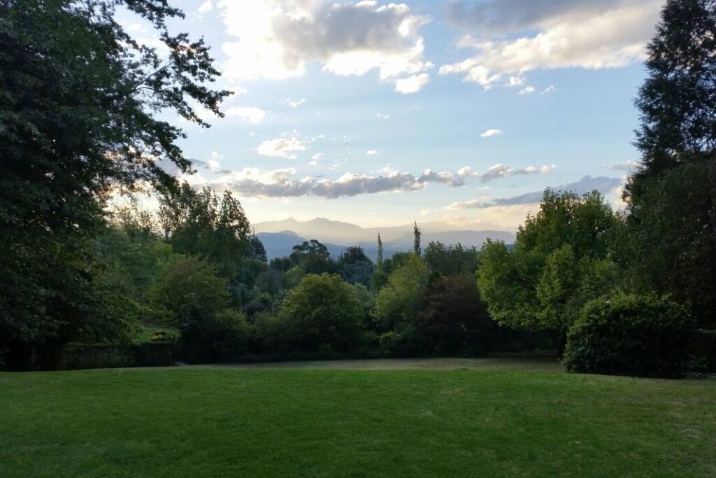 View from the house