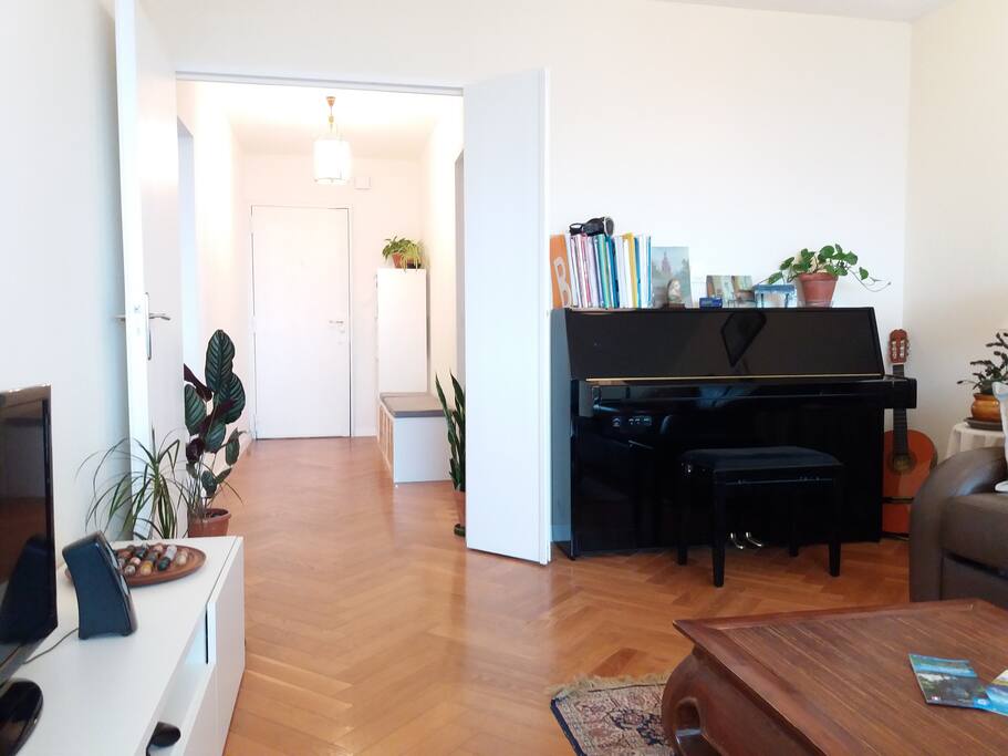 Entrée et salon