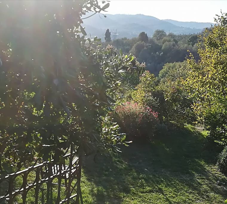 il giardino in ottobre...