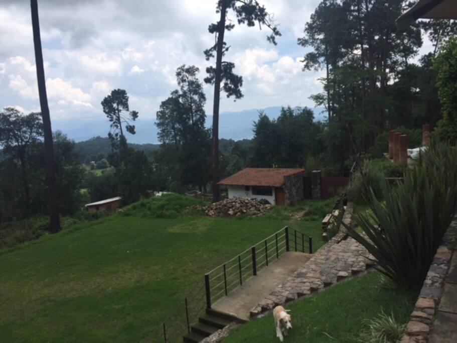 Jardin casa 1,000 mt2