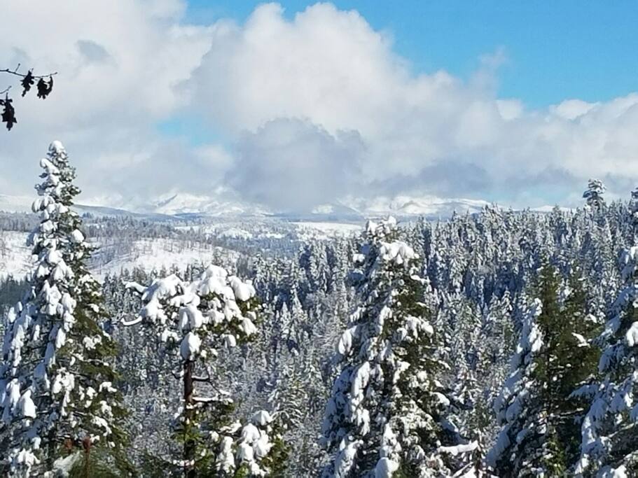The view from the loft after a snowfall.