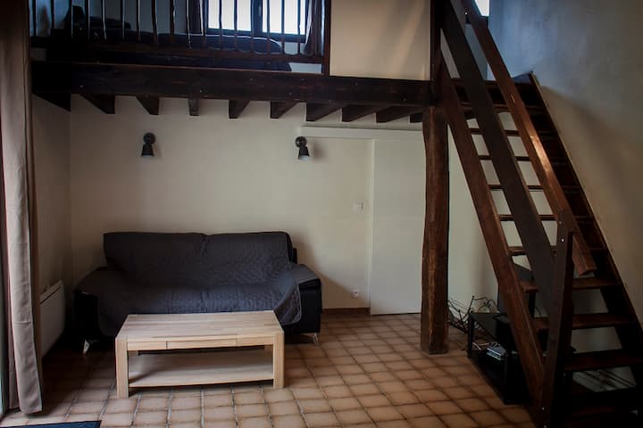 Gîte Etrier Wallon Au Milieu Des Chevaux - ibis Styles Gien