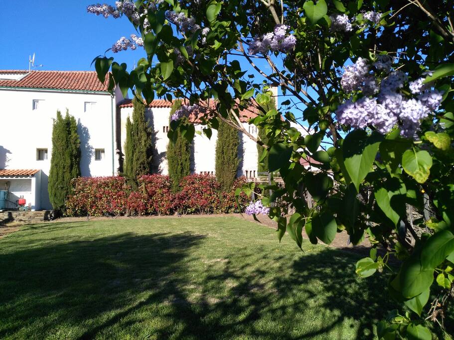 Jardim