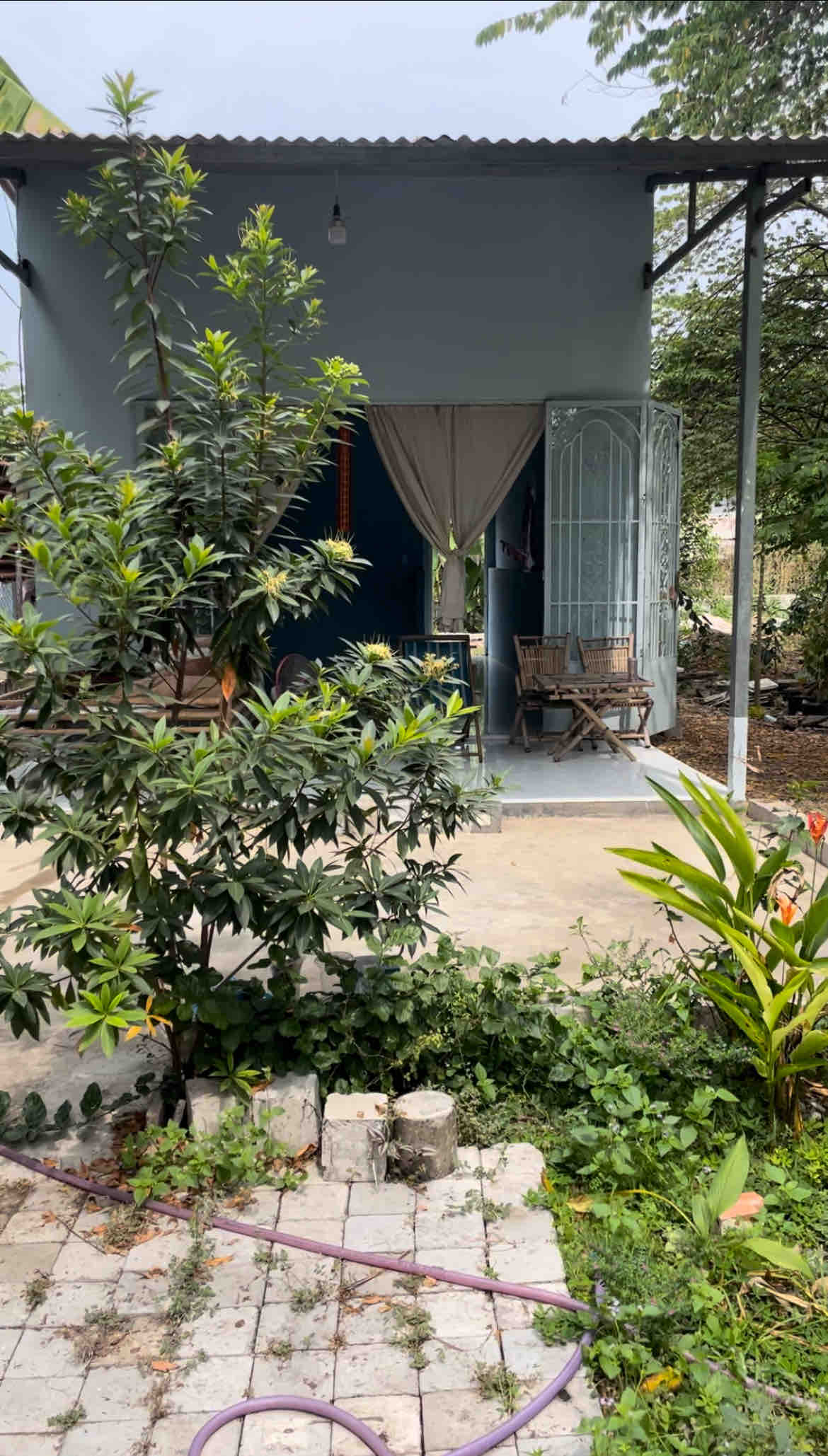 A cabin entrance is framed by lush greenery, with a small patio featuring two wooden chairs and a table. The structure showcases a blue exterior with a curtain draped at the entry, and the surrounding area is adorned with various plants, creating a serene and inviting setting.