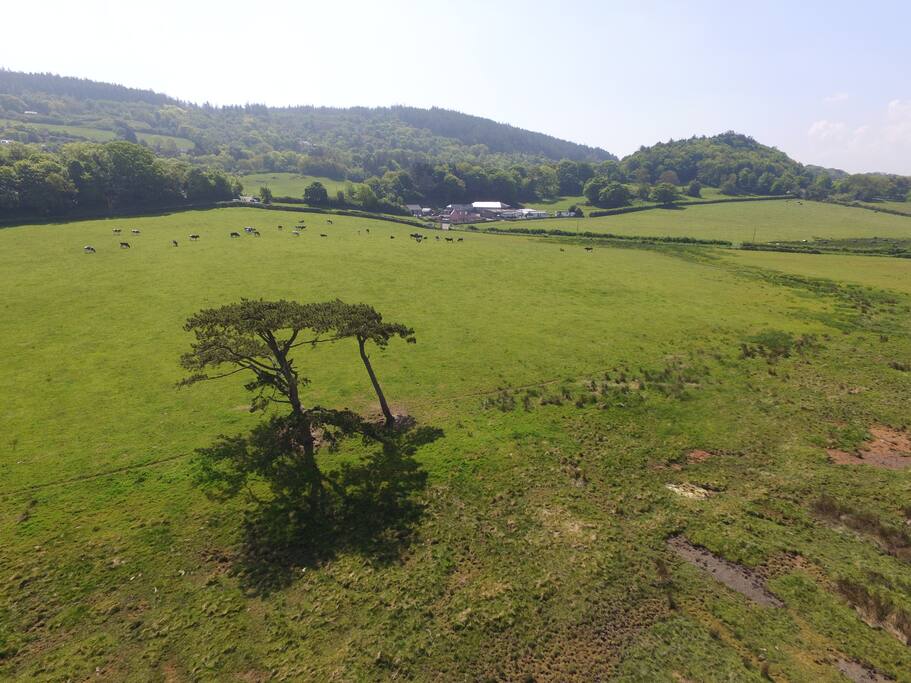 The beautiful countryside setting