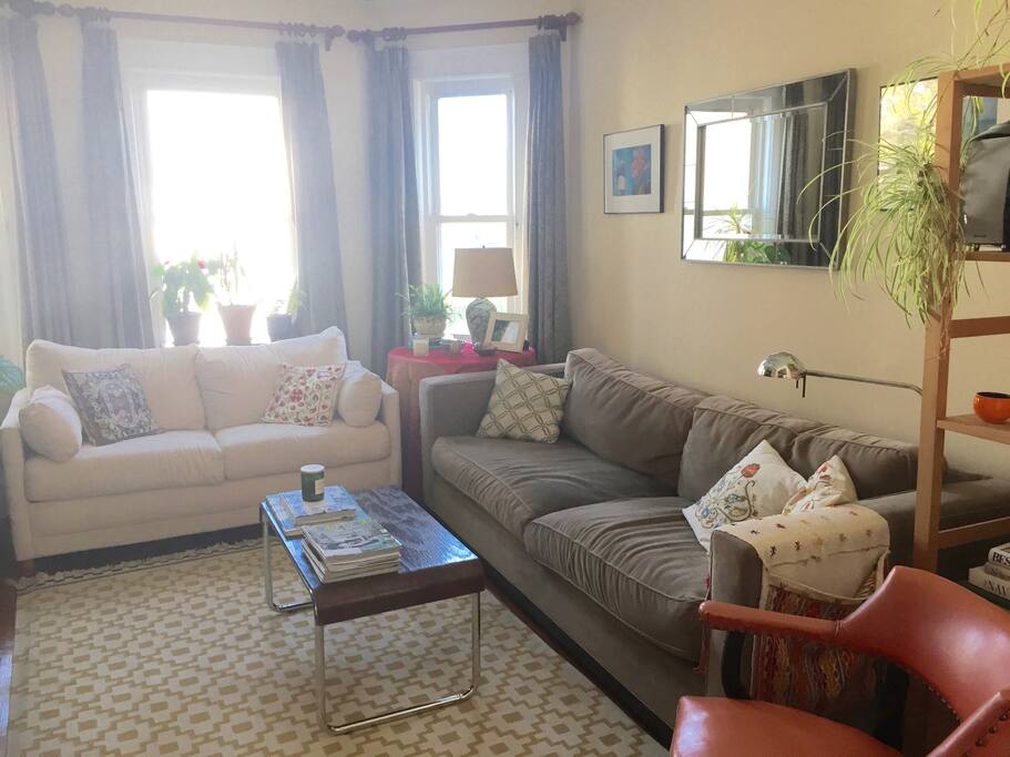 Living room with sofa bed