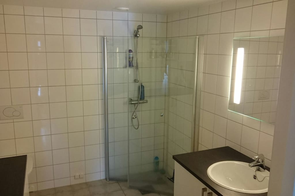 Romslig bad, med dusj, vaskemaskin og tørketrommel