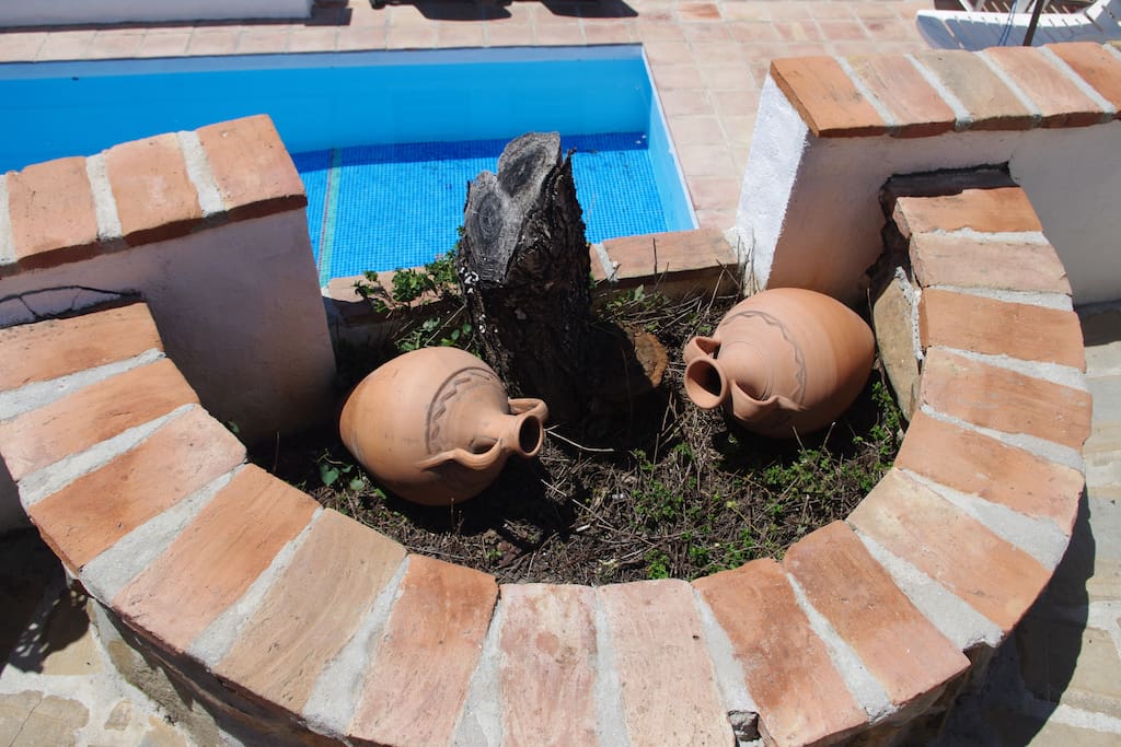 Piscina.