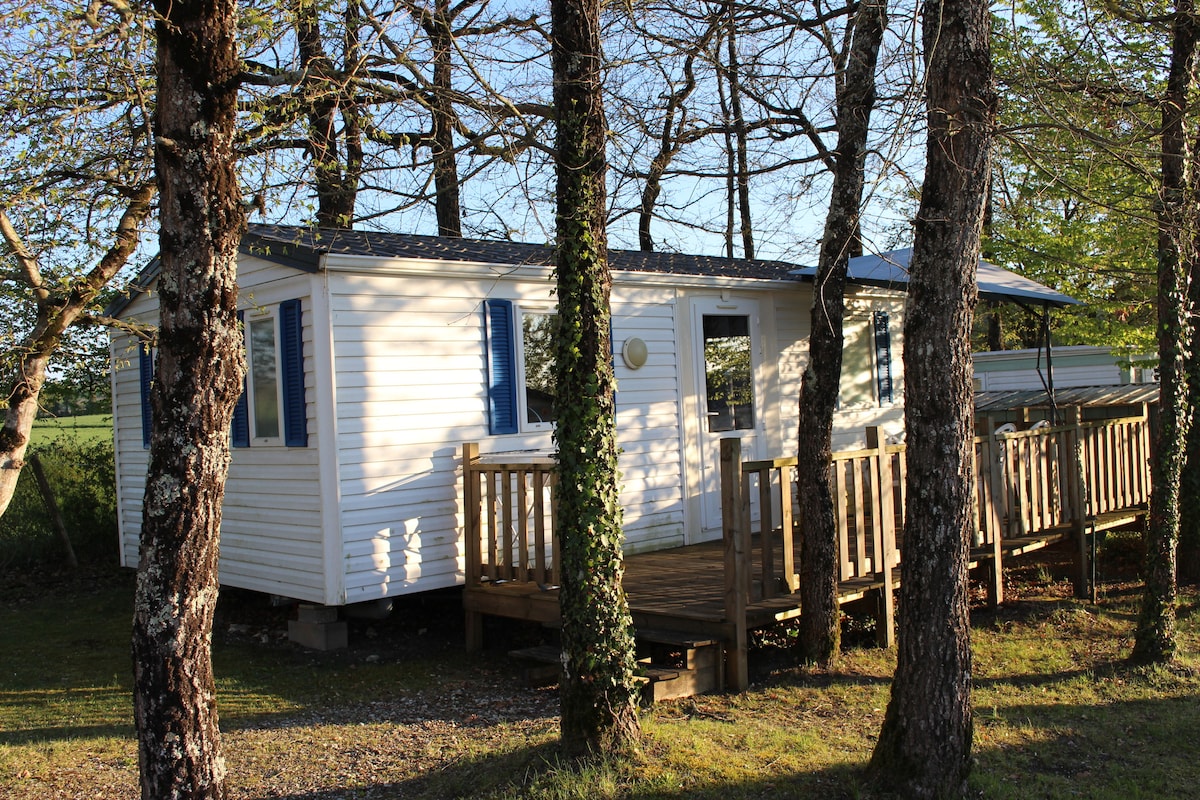 The mobile home is set among trees, featuring a wooden deck that provides access to the entrance. Light-colored exterior walls contrast with blue shutters and a sloped roof. Surrounding greenery enhances the tranquil atmosphere of the setting.