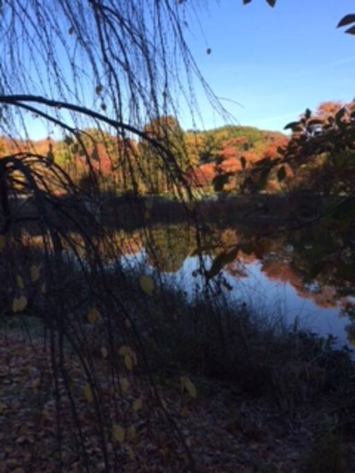 Aboretum Park