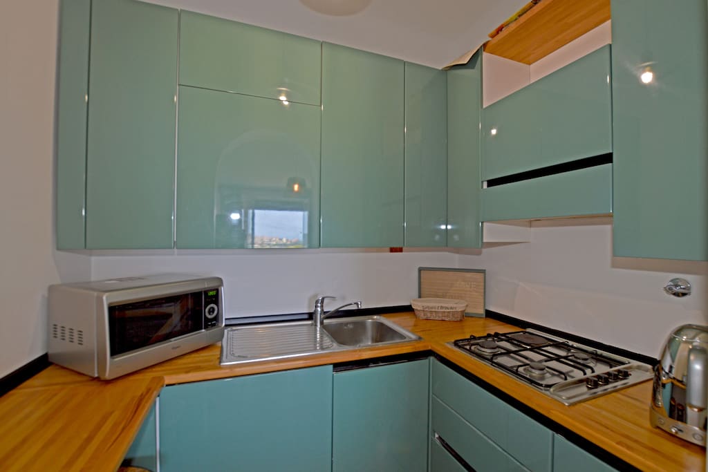 Cuisine équipée d'un four à micro onde, un évier et plaque de cuisson