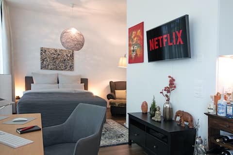 Luxury Condo + Netflix! 4Min Rhine, Fair, Novartis