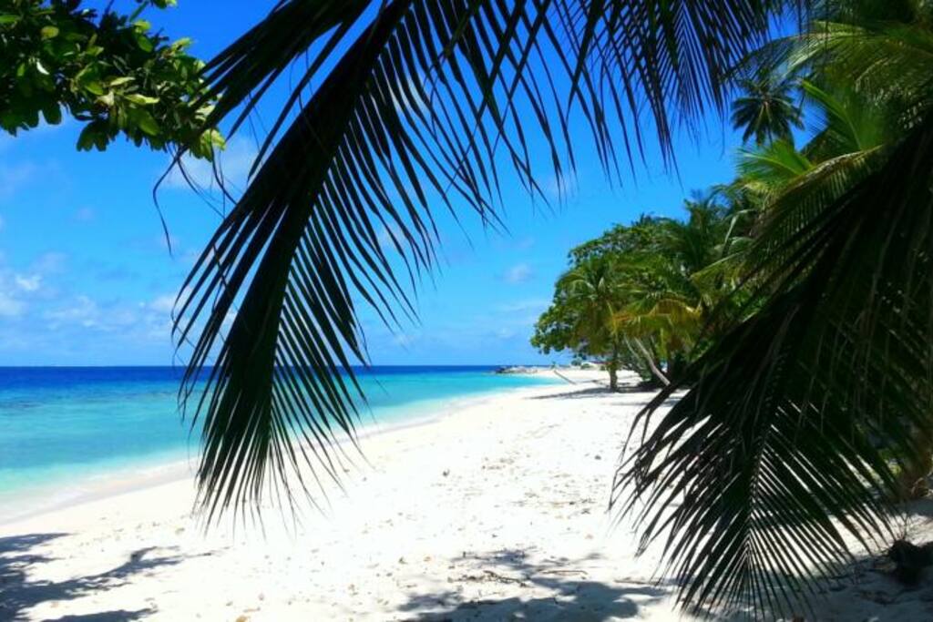 Dharavandhoo Beach