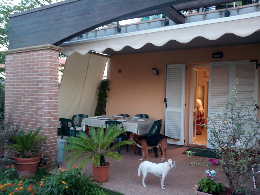 Il patio di fronte con il tavolo e le sedie per mangiare all'esterno