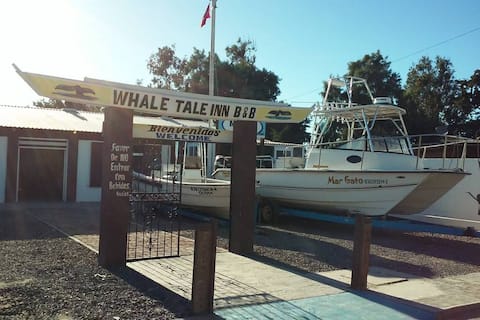 Whales Tale Inn #5