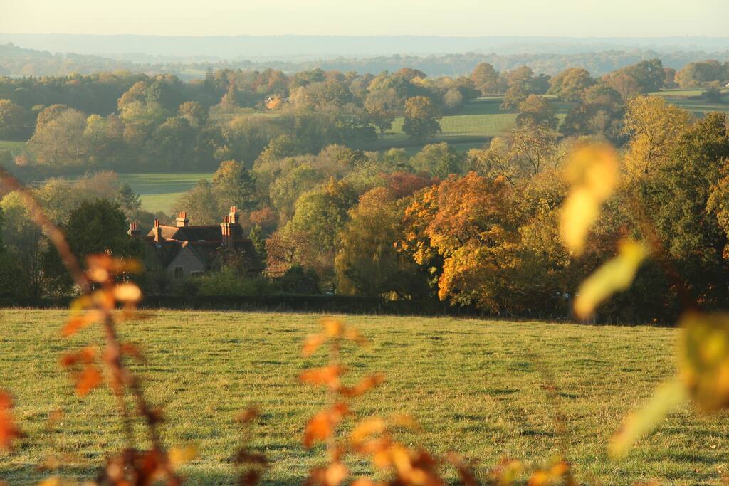 Autumn time